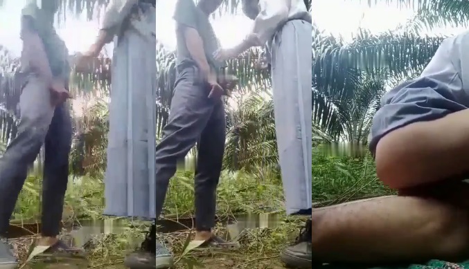 Bokep Indo – Pasangan Muda Bolos ke Kebun Sawit Buat Mesum